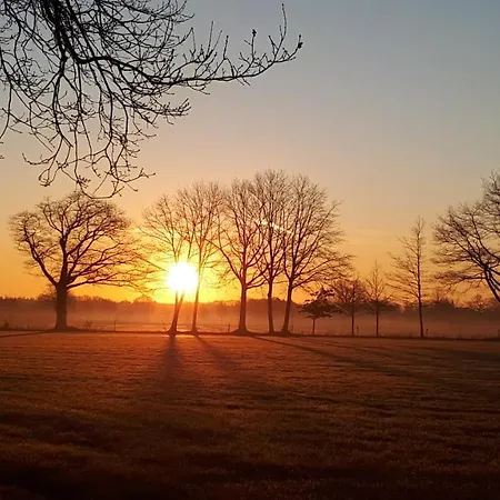 De Lindehoek Bed & Breakfast *
