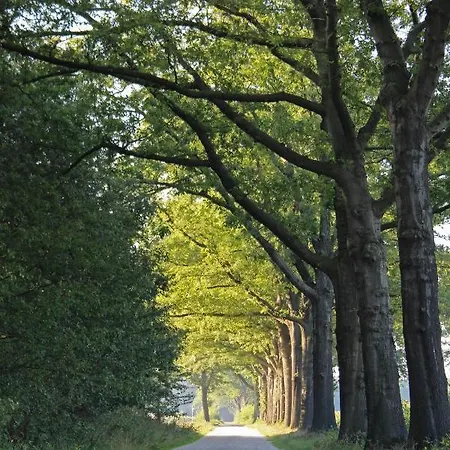 De Lindehoek * Zelhem