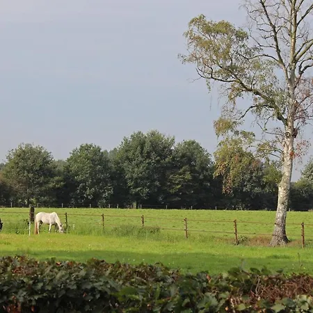 De Lindehoek Bed & Breakfast