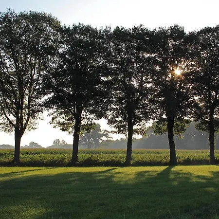 De Lindehoek Bed & Breakfast